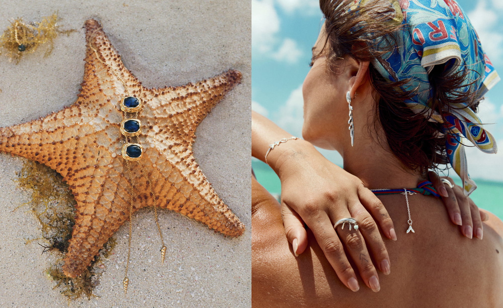 Stone Fruit Ceviche collection seen on Taylor Hill and a sea star