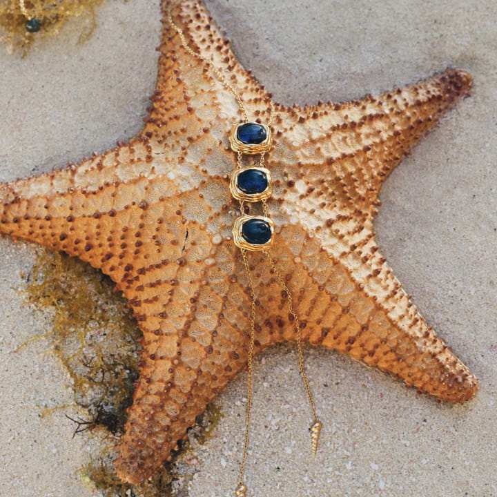 Image of the Scallop Necklace on a starfish